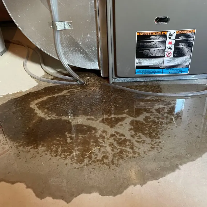 Pipe Burst and Leak Restoration in Palos Hills, IL